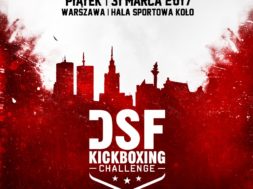 dsf-inst-1000×1000