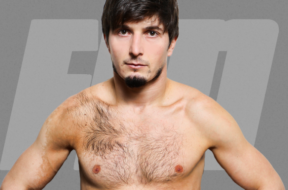 arbi-shamaev-800×445