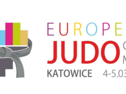 judo