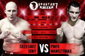 siwy vs wawrzyniak