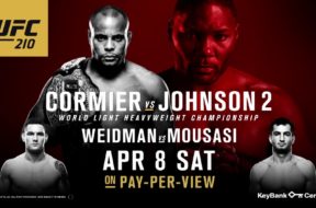Chris Weidman vs. Gegard Mousasi
