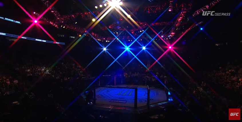Tegoroczny raport UFC ( VIDEO )
