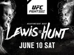 Mark Hunt vs Roy Nelson