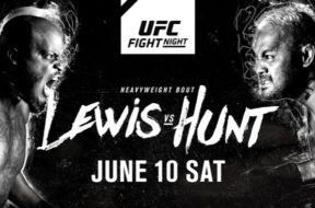 Mark Hunt vs Roy Nelson