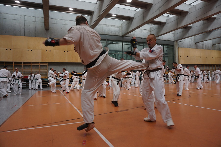 OGÓLNOPOLSKIE SEMINARIUM OYAMA KARATE W KRAKOWIE