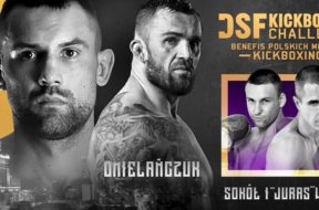 DSF12