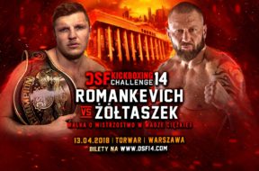 DSF-14-Romankiewicz-Żółtaszek