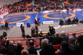 judo sofia
