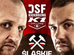 DSF16