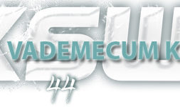 372vademecum_kibica