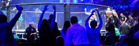 MMA TRZECIM NAJBARDZIEJ MEDIALNYM SPORTEM W POLSCE