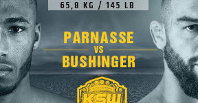 1575490967-940118KSW52_parnasse450x150
