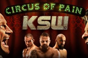 ksw 37