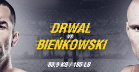 ksw53-drwal-450