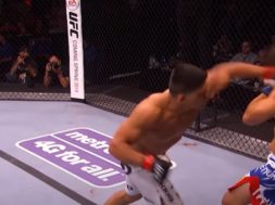 ufc zakonczenie walki