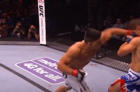 ufc zakonczenie walki