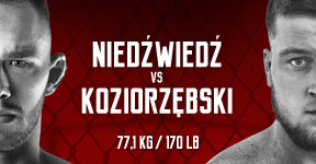 ksw54-niedzwiedz-450