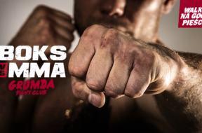 mmavsboks