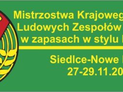 content_20201127LZSSiedlce