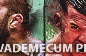 vademecum1