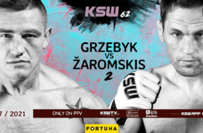 ksw62-grzebyk-1024×512-1624275007-5007