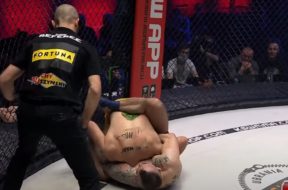 nokauty ksw