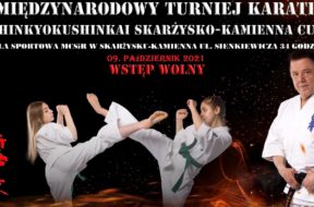 VI_MT_Karate_2021_plansza_LIVE