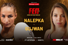 FEN37_NALEPKA-GUJWAN_v2-727×425