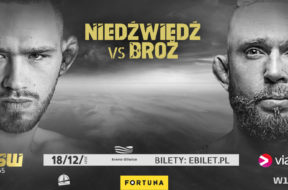 ksw65-niedzwiedz-1024×512-1639064732-4732