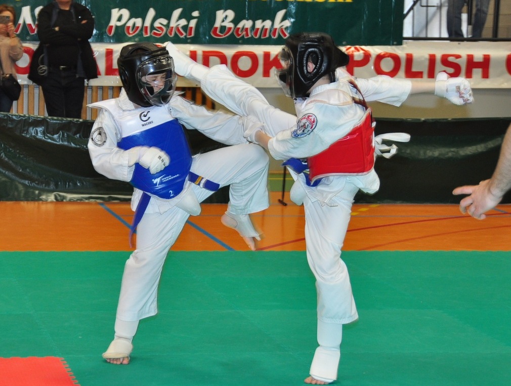 Puchar Budo Kai