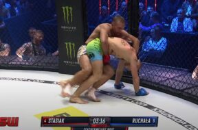 ruchala vs stasiak