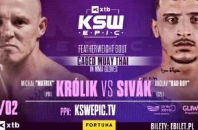 kswepic-krolik-1024×512-1705943915-3915