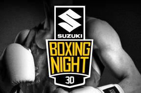 suzuki boxing