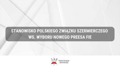 Kopia-–-PLANSZA-GRAFIKA