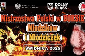 MP-Mlodziczek-i-Mlodzikow-Swidnica-1200×692