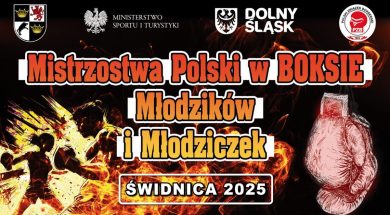 MP-Mlodziczek-i-Mlodzikow-Swidnica-1200×692