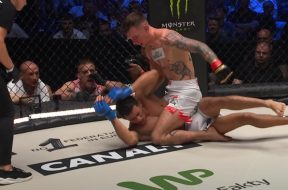 ksw poddania
