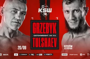 ksw110-grzebyk-1920×1080-kopiajpg.jpg