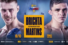 ksw111-brichta-1920x1080jpg.jpg_Easy-Resize.com